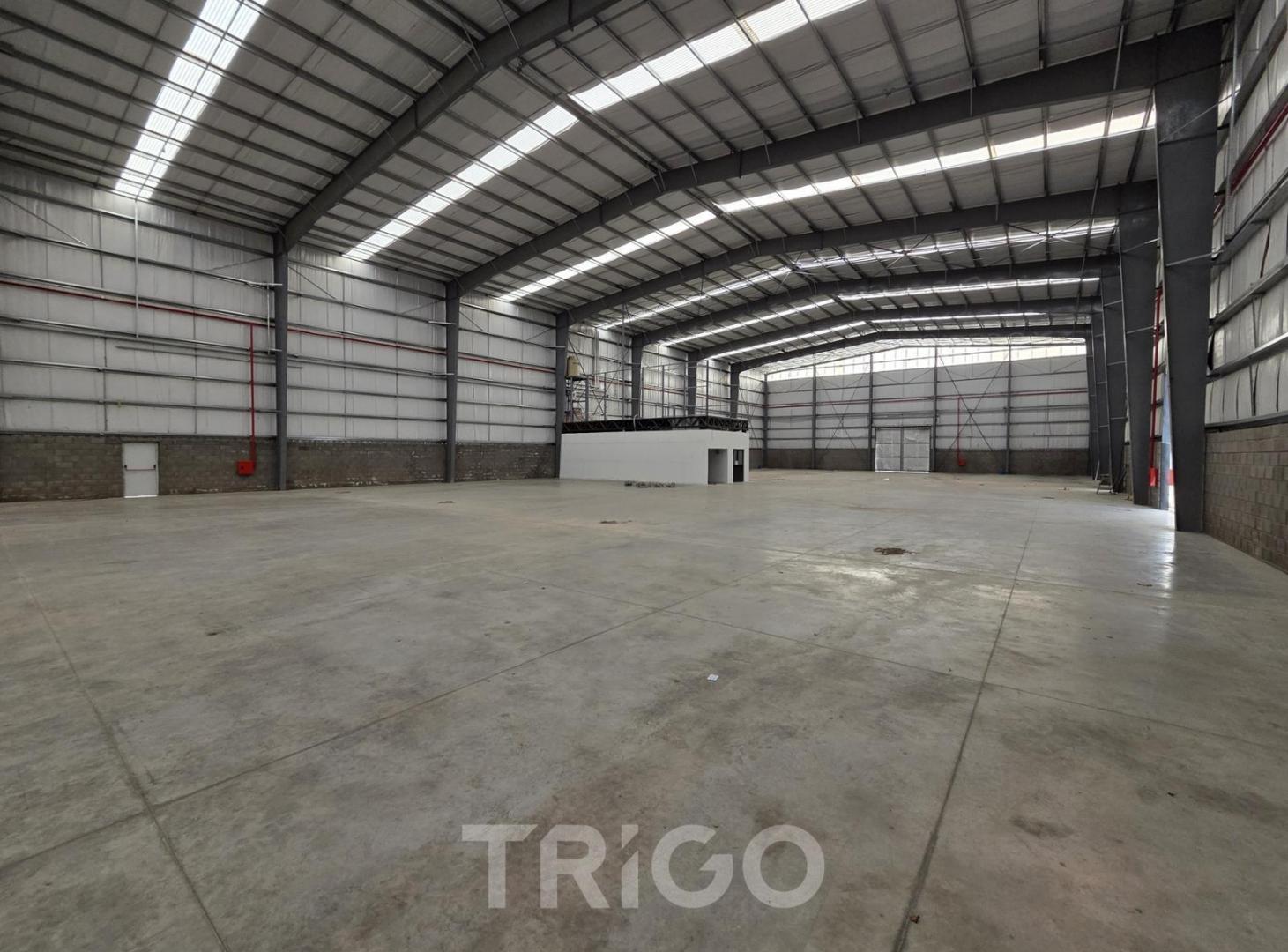 Foto de Galpón de 2.000m2 en venta Ezeiza dentro de complejo cerrado con, imagen 4