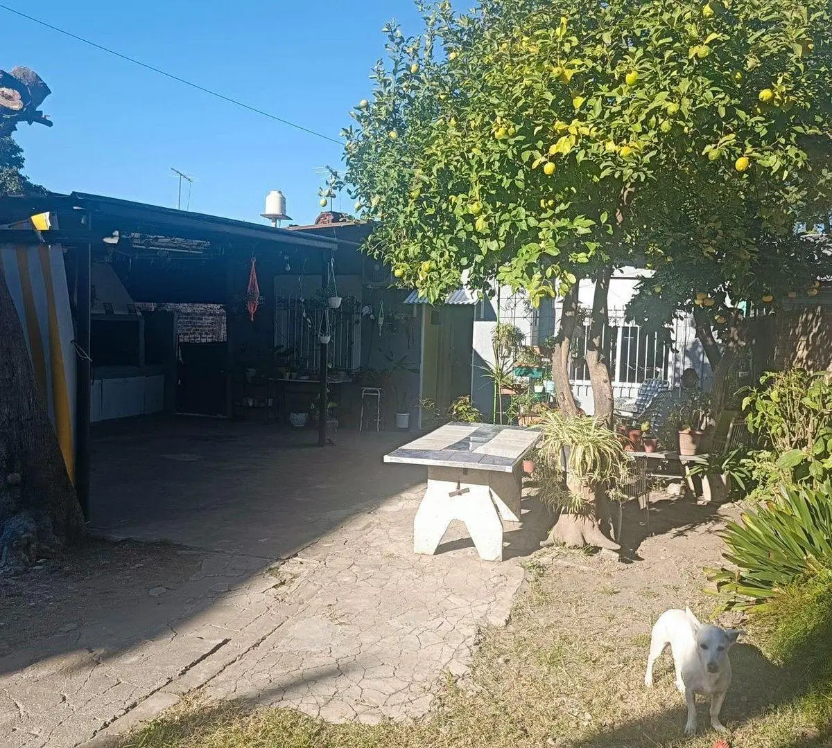 VENTA CASA CON JARDIN VILLA TESEI HURLINGHAM 5