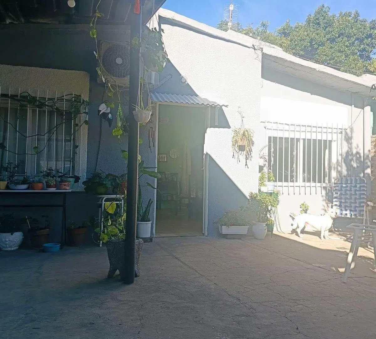 VENTA CASA CON JARDIN VILLA TESEI HURLINGHAM 4