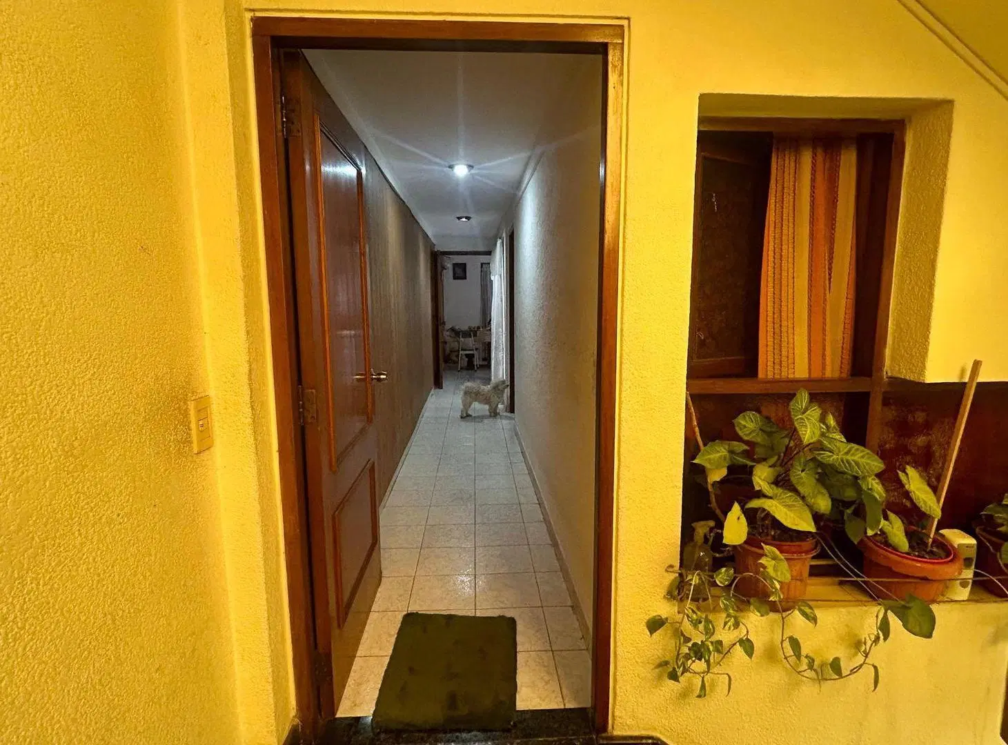 VENTA LOTE PROPIO CASA 5 AMB + LOCAL - RAMOS MEJIA 2