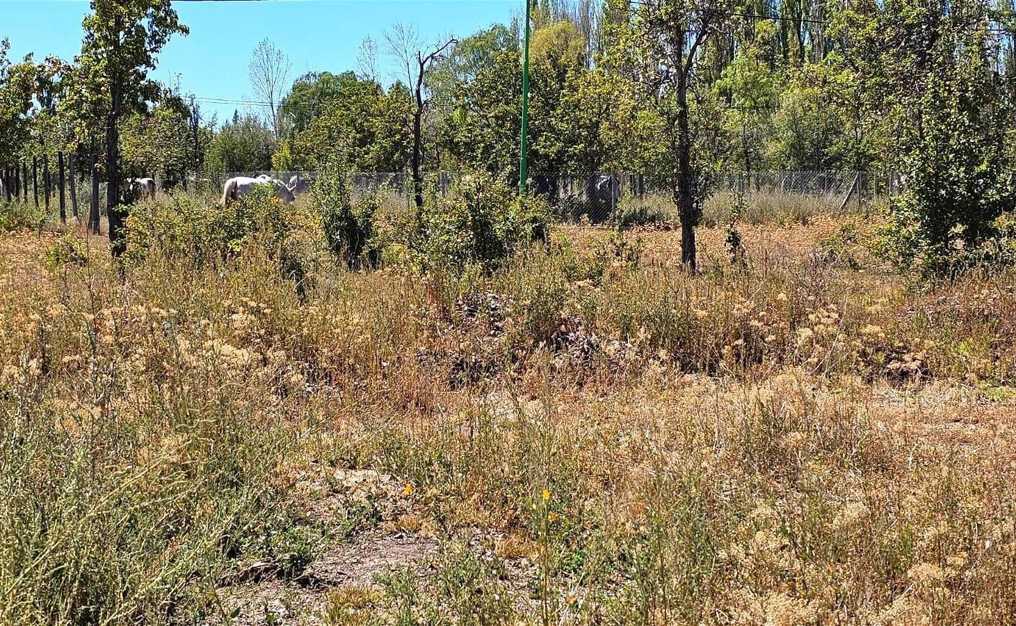 Terreno en  Venta Cinco Saltos, Río Negro