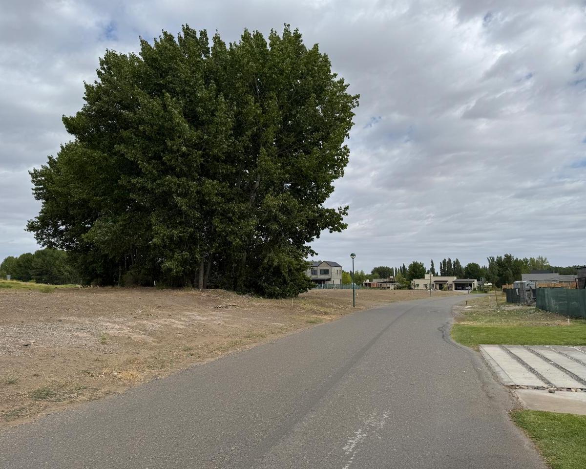 Terreno Venta Canales de Plottier, Fondo Cancha Golf 5