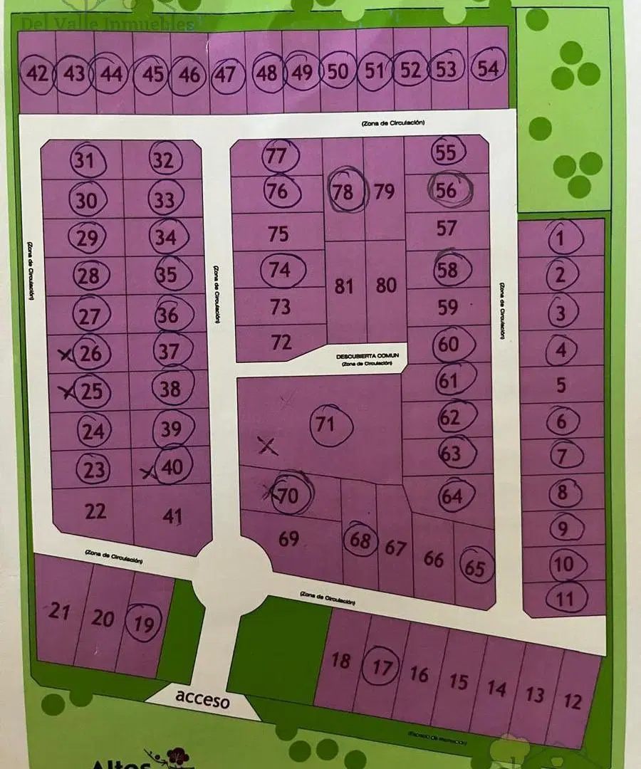 Plano 1