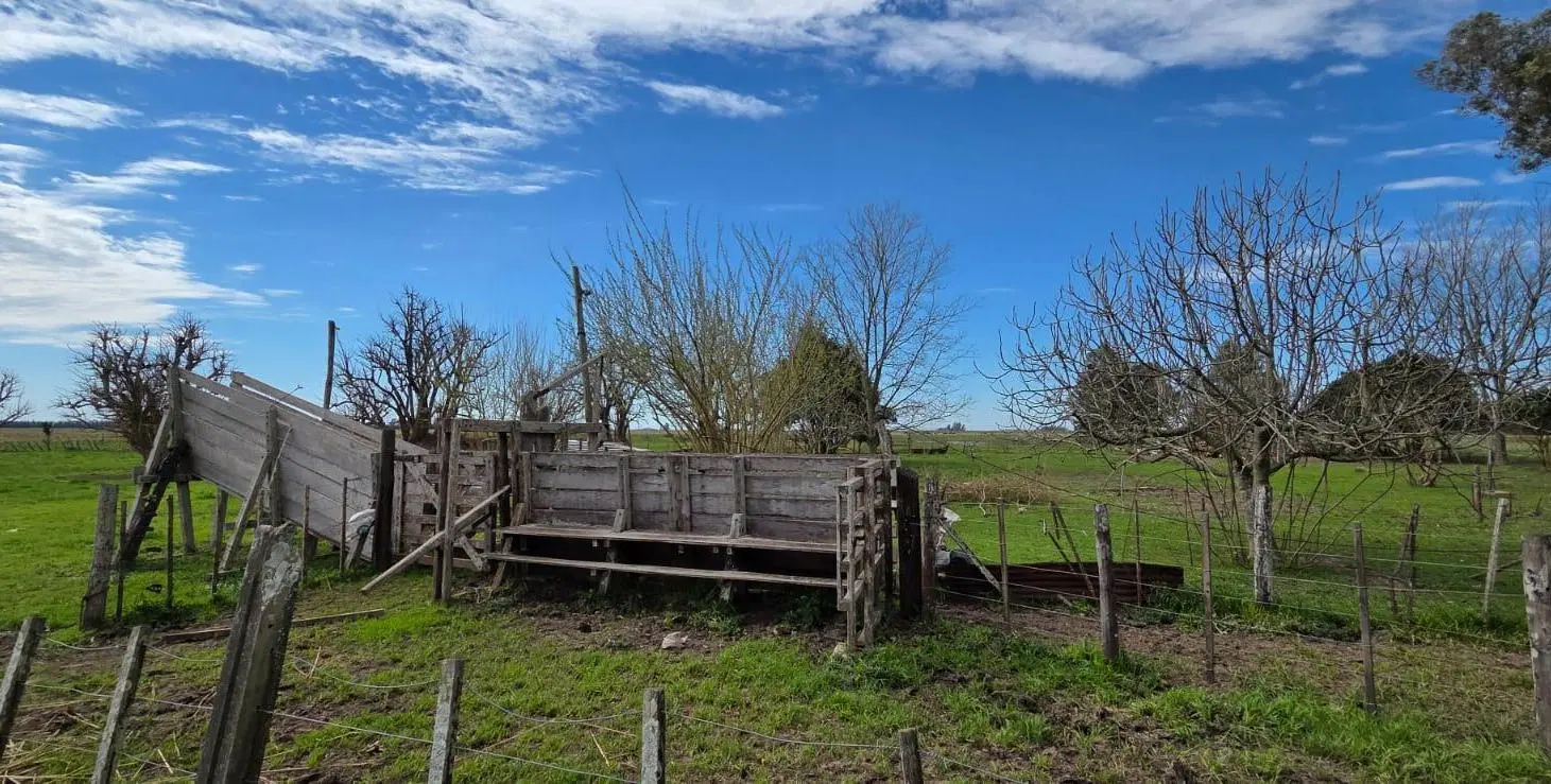 CAMPO EN VENTA SOBRE RUTA 2 CHASCOMUS 1