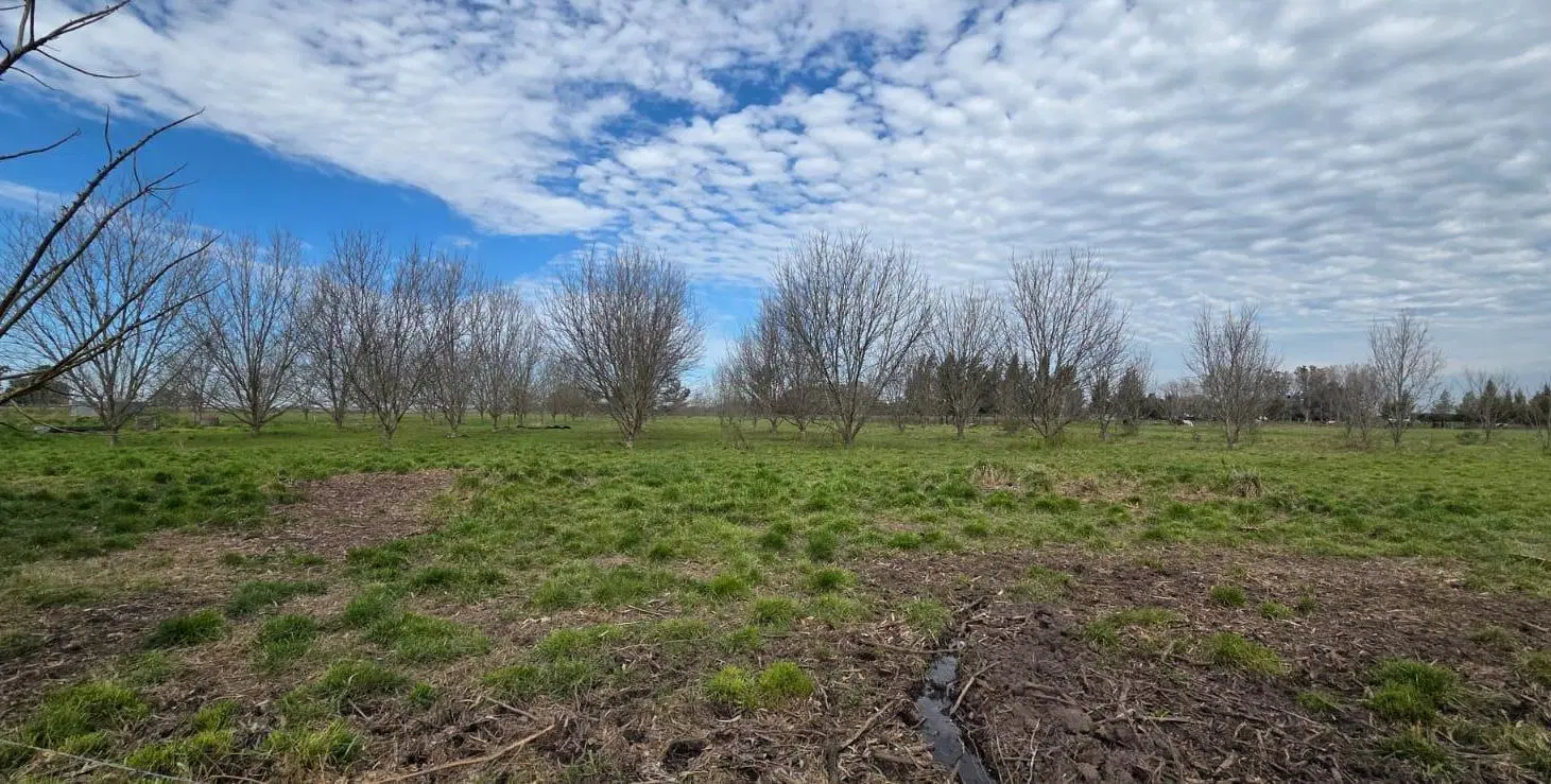 CAMPO EN VENTA SOBRE RUTA 2 CHASCOMUS 2