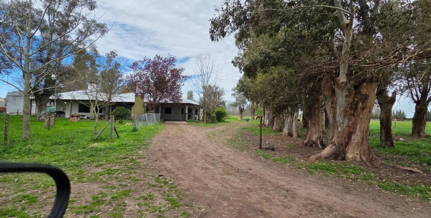 CAMPO EN VENTA SOBRE RUTA 2 CHASCOMUS 3