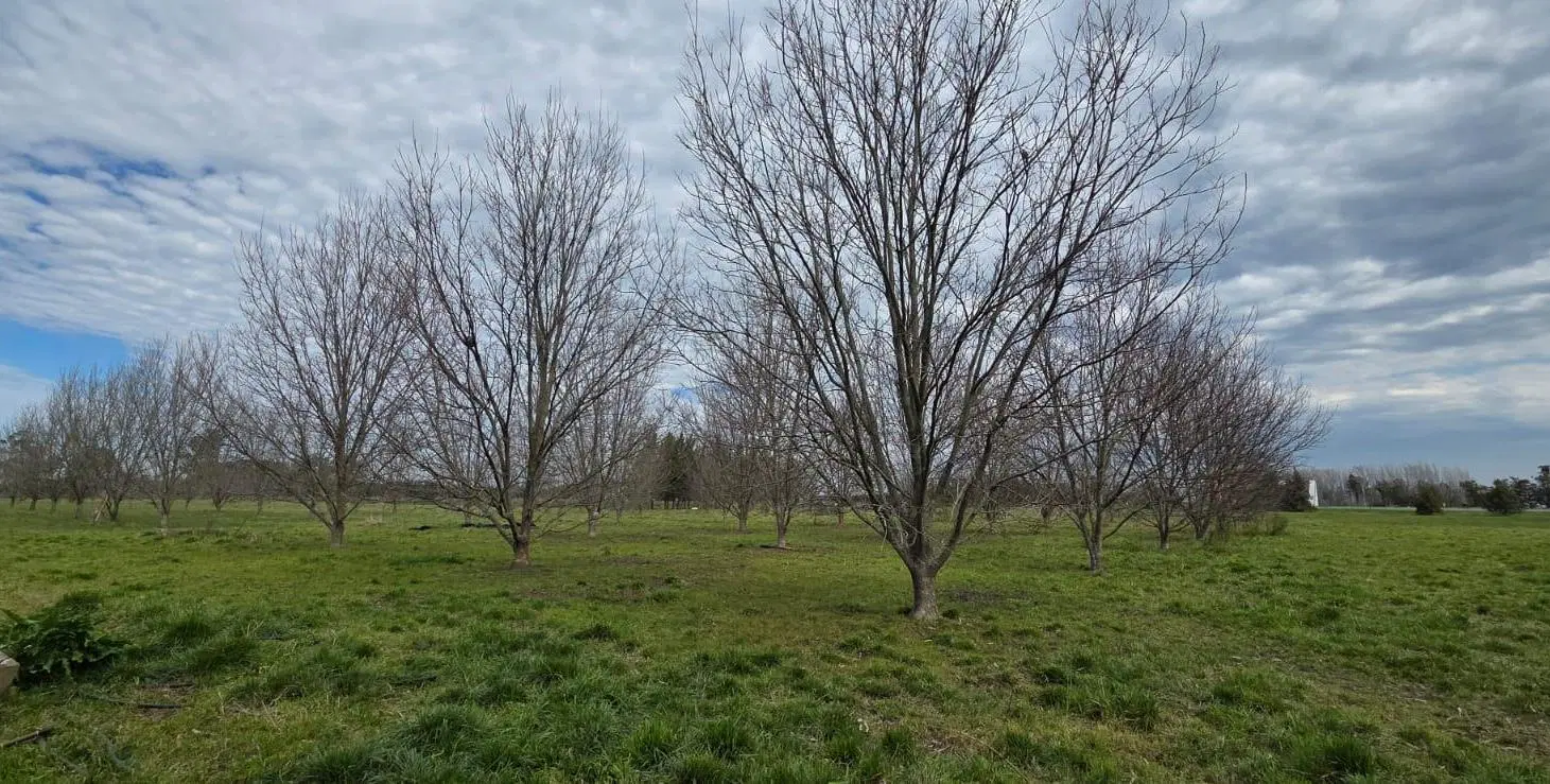 CAMPO EN VENTA SOBRE RUTA 2 CHASCOMUS 5
