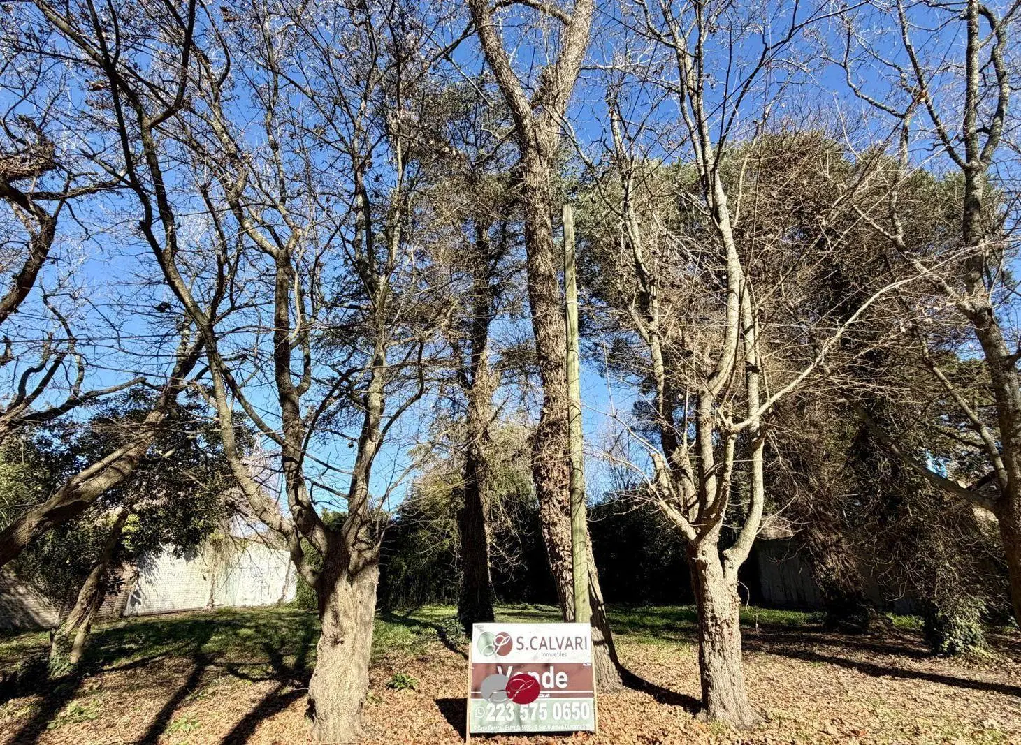 Terreno en Grosellar 5