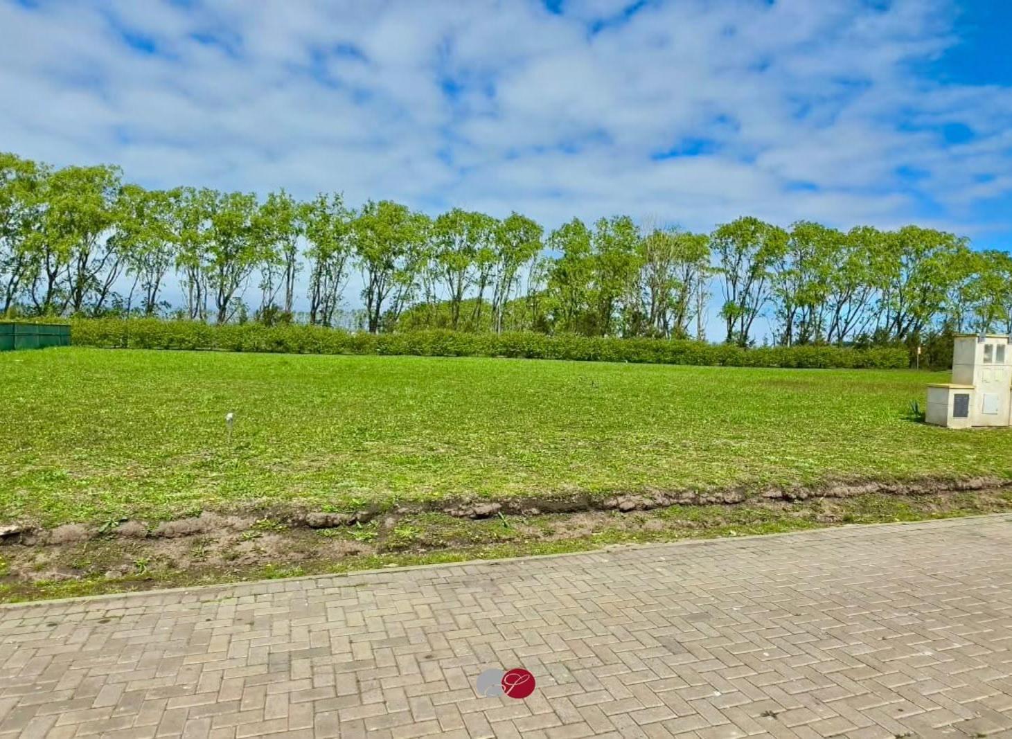 Foto de Terreno en Developer Park, imagen 4