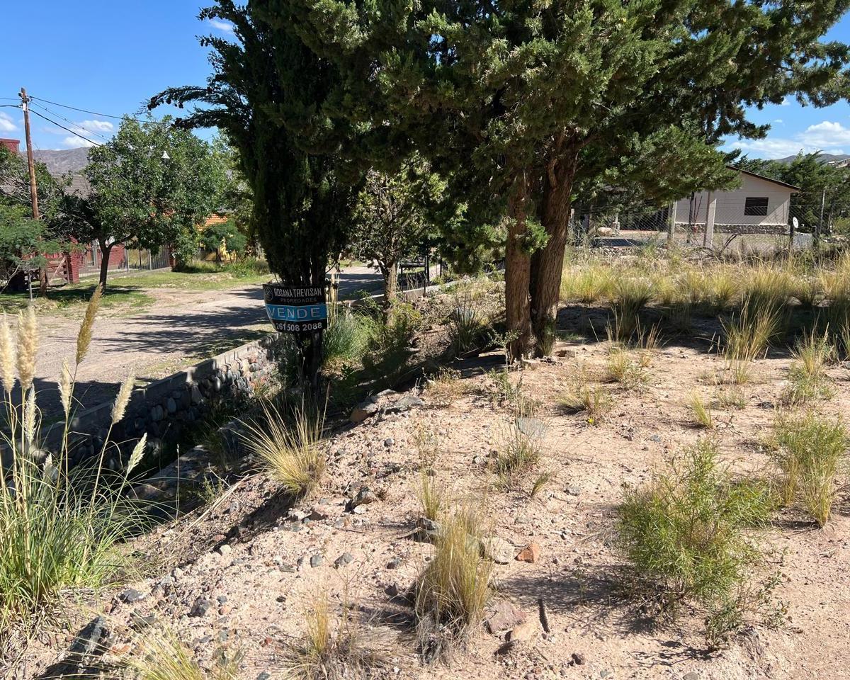 Rt Propiedades Vende Lote en Potrerillos 3