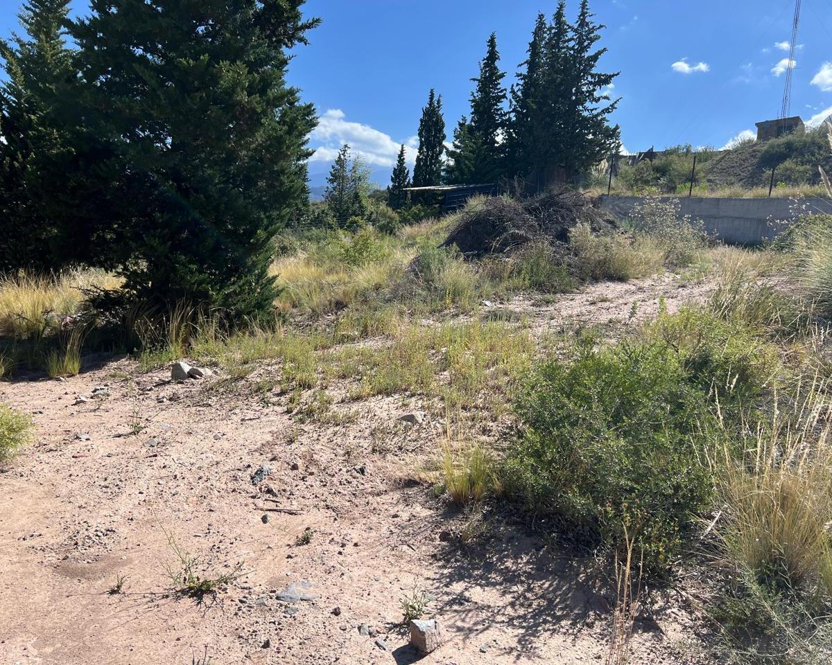 Rt Propiedades Vende Lote en Potrerillos 5