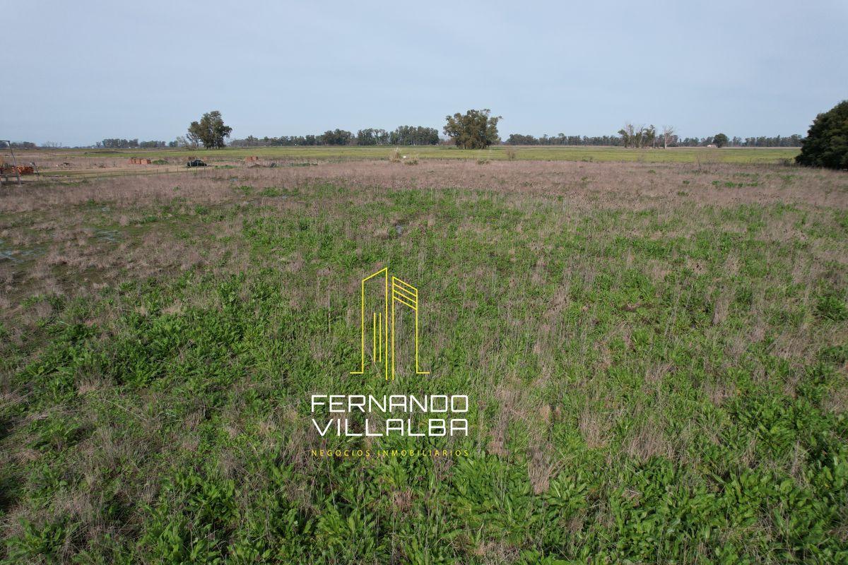 Foto de VENTA-Parcela de 1,3 hectareas, imagen 2