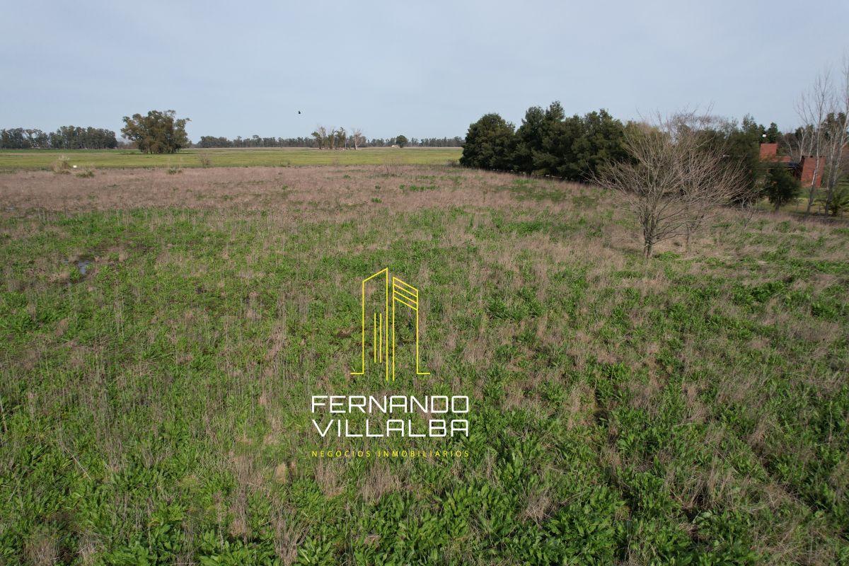 Foto de VENTA-Parcela de 1,3 hectareas, imagen 5