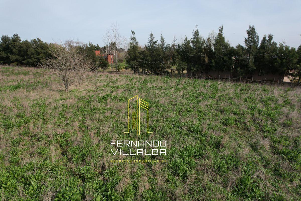 Foto de VENTA-Parcela de 1,3 hectareas, imagen 3