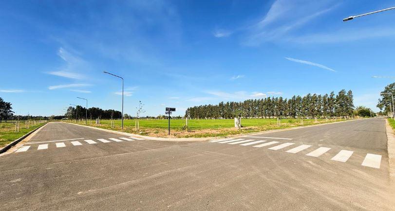 Foto de Terreno en General Lagos, imagen 4