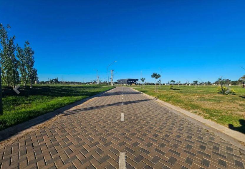Foto de Terreno en General Lagos, imagen 5