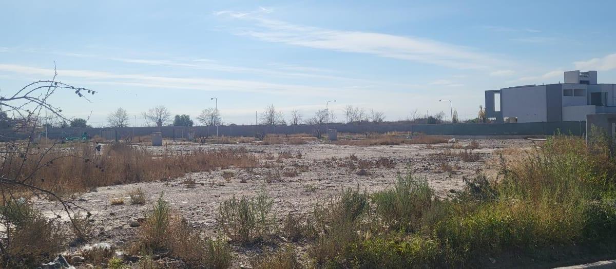 Inprogroup Vende 4
