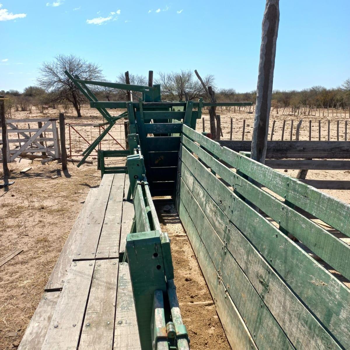 Foto de INPROGROUP VENDE - ATRACTIVO CAMPO EN SAN LUIS, imagen 5