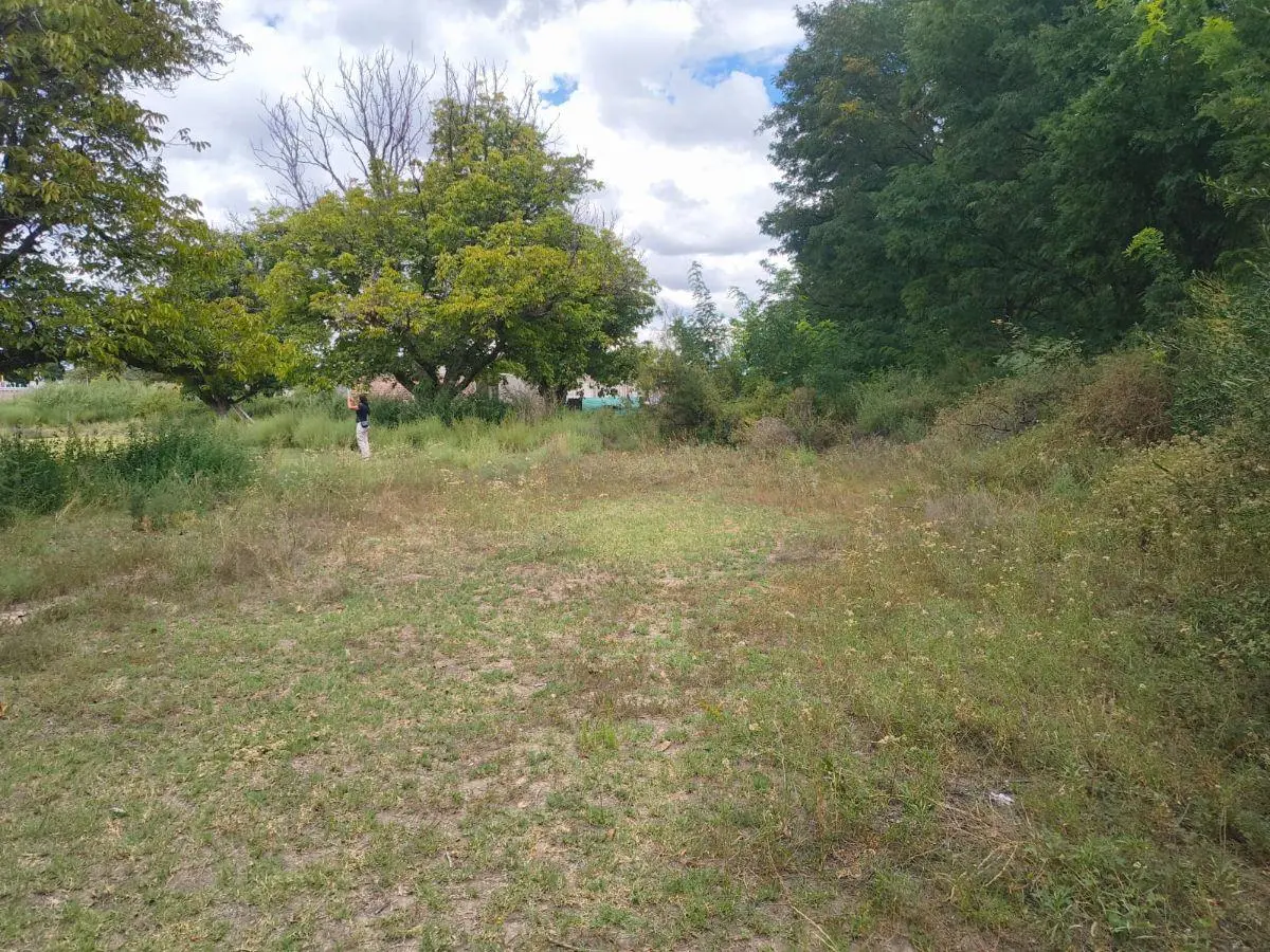 INPROGROUP VENDE LOTES - SAN CARLOS 3