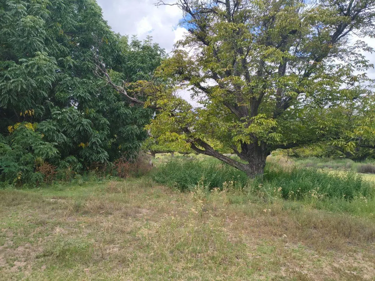 INPROGROUP VENDE LOTES - SAN CARLOS 4