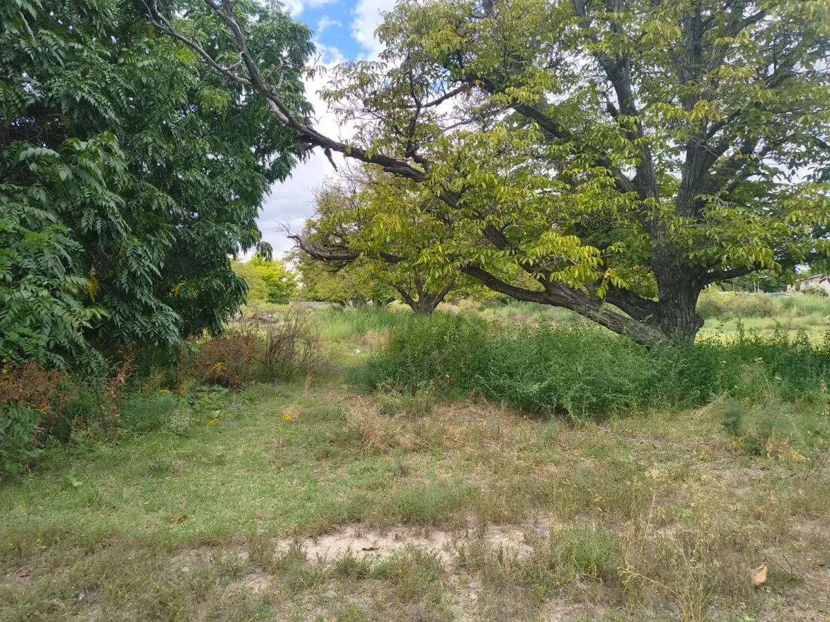 INPROGROUP VENDE LOTES - SAN CARLOS 5