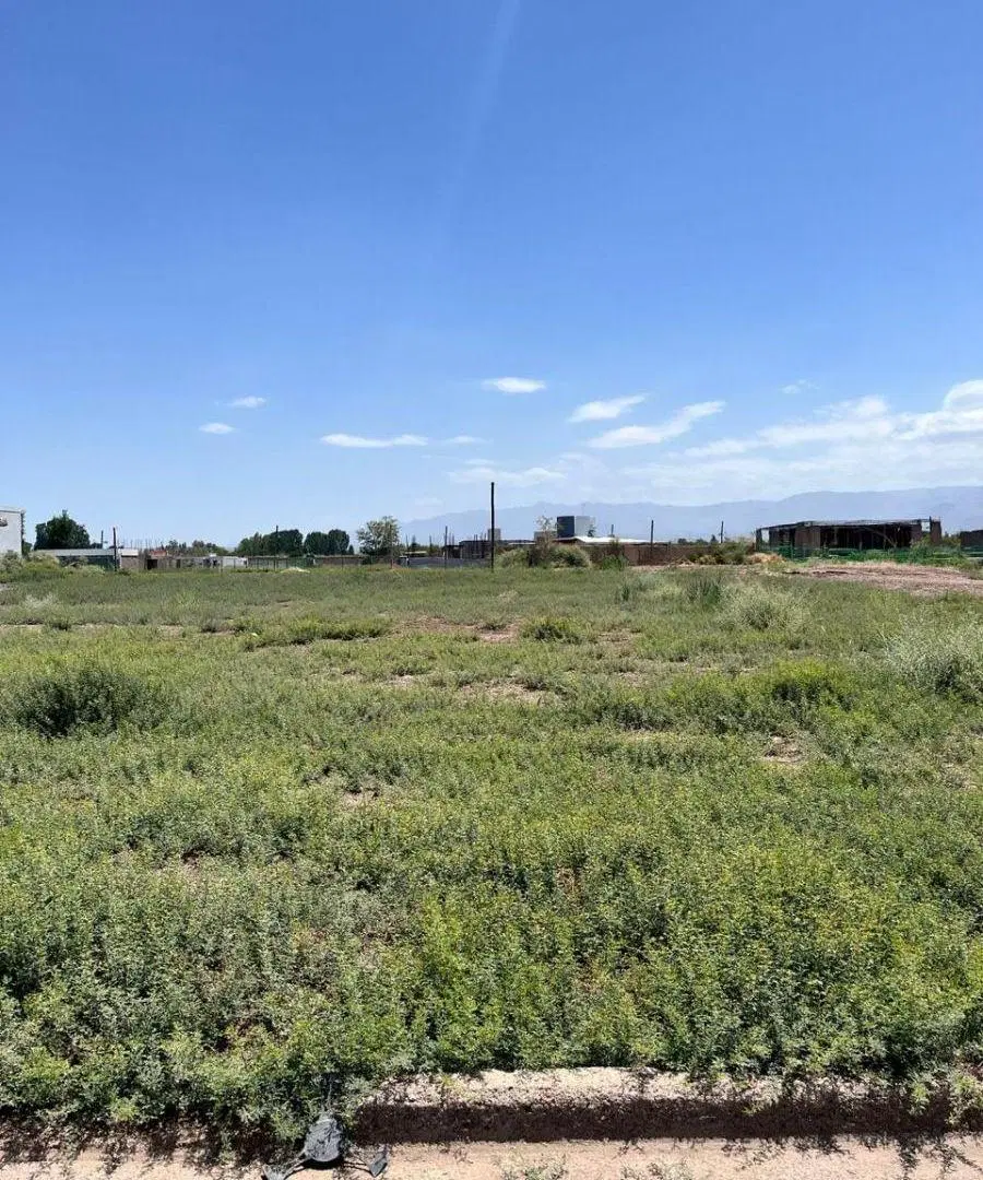 INPROGROUP VENDE LOTE 4