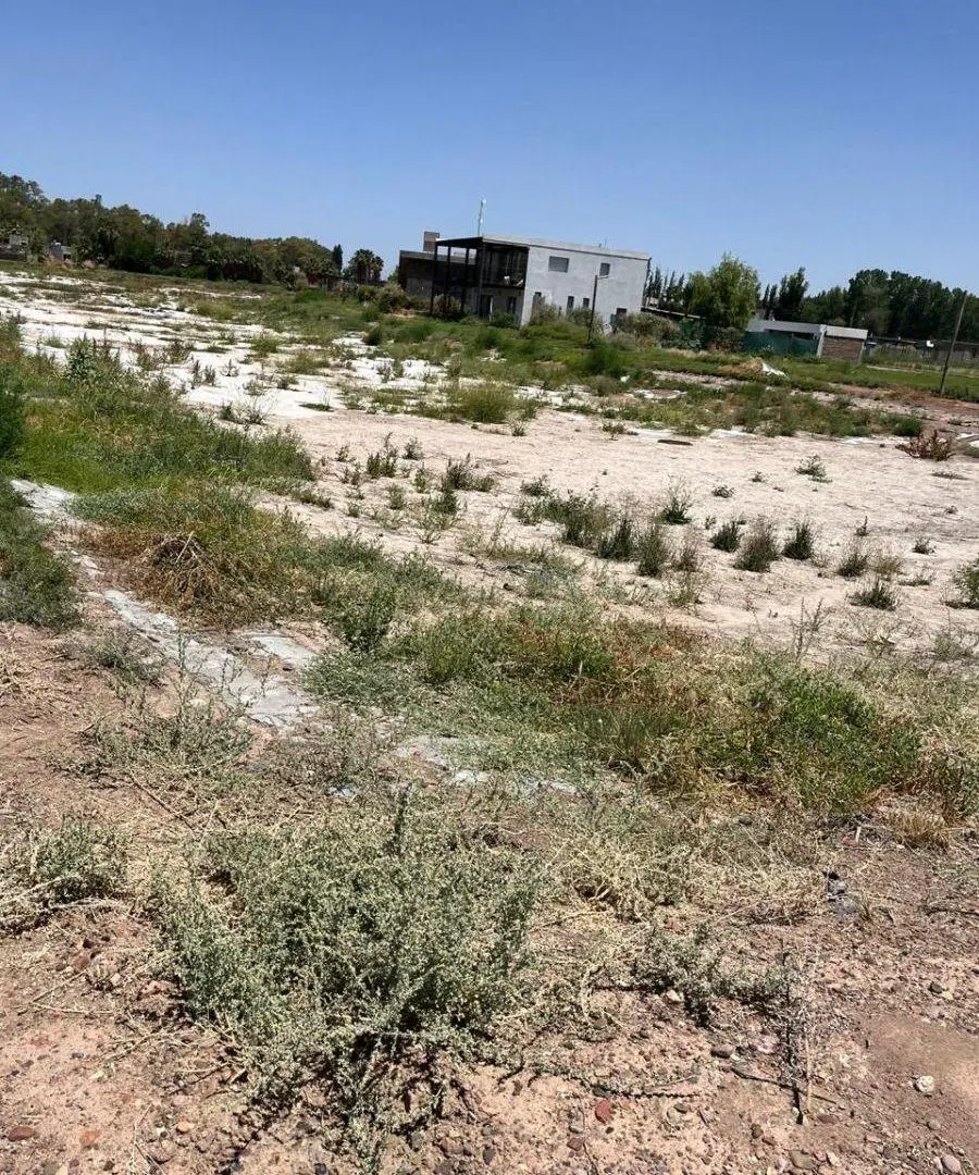 INPROGROUP VENDE LOTE 5
