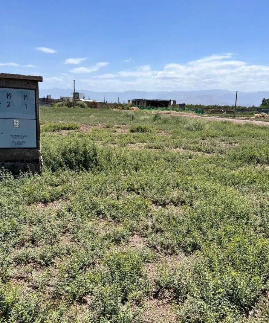 INPROGROUP VENDE LOTE 3