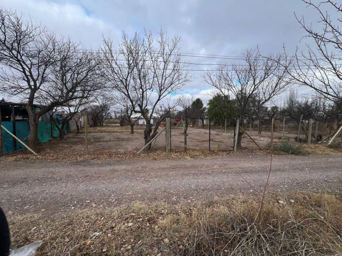 Foto de INPROGROUP VENDE LOTE EN JUNIN, imagen 2
