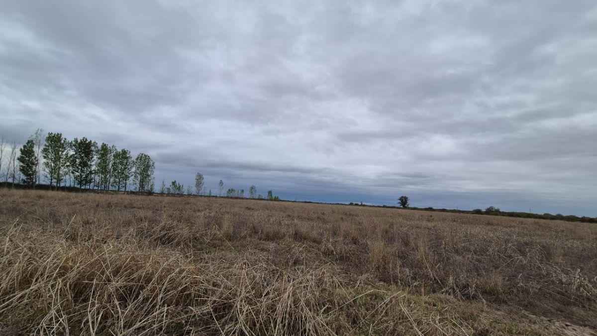 Foto de INPROGROUP VENDE CAMPO AGRICOLA GANADERO CON POZOS Y REPRESA RUTA 7 Y, imagen 3