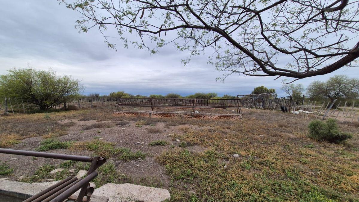 Foto de INPROGROUP VENDE CAMPO AGRICOLA GANADERO CON POZOS Y REPRESA RUTA 7 Y, imagen 1