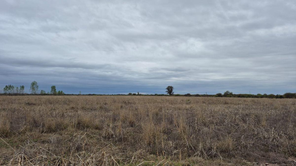 Foto de INPROGROUP VENDE CAMPO AGRICOLA GANADERO CON POZOS Y REPRESA RUTA 7 Y, imagen 2