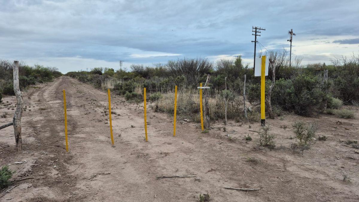 Foto de INPROGROUP VENDE CAMPO AGRICOLA GANADERO CON POZOS Y REPRESA RUTA 7 Y, imagen 4
