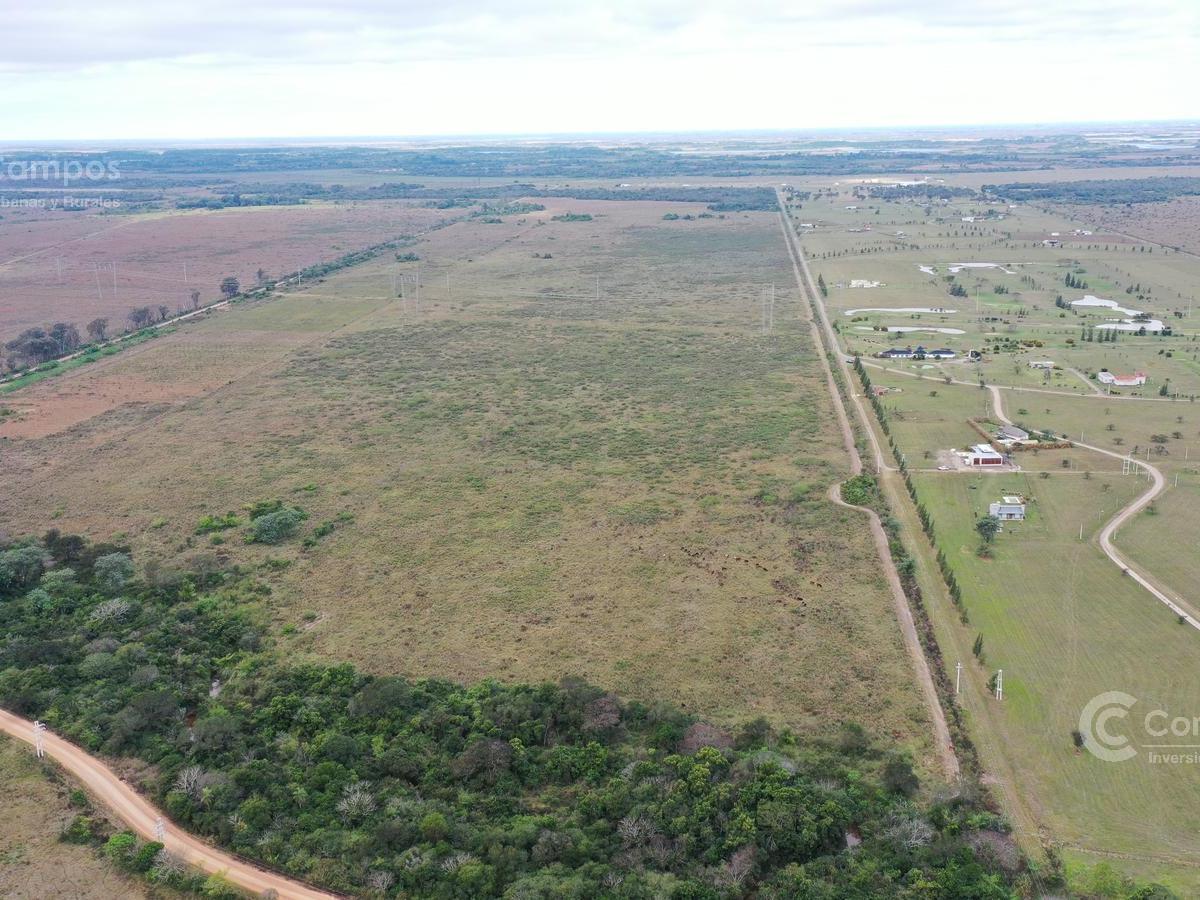 Campo de 146 Ha Ideal Para Loteo en Paso de La Patria - Corrientes 2