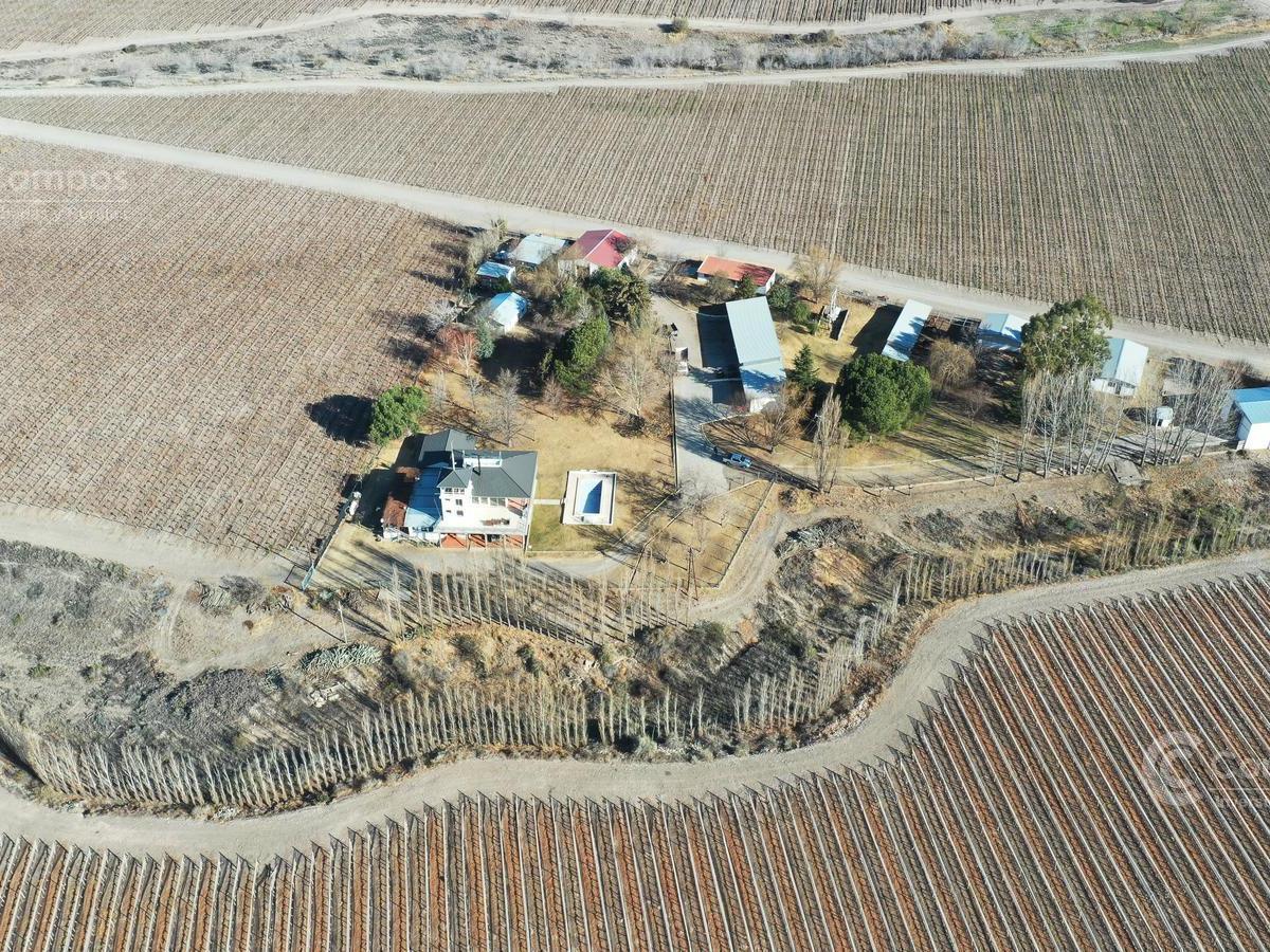 Se Vende Finca en Valle de Uco Mendoza. 300 Ha de Viñedo en Producción Unicas. Lo Mejor 3