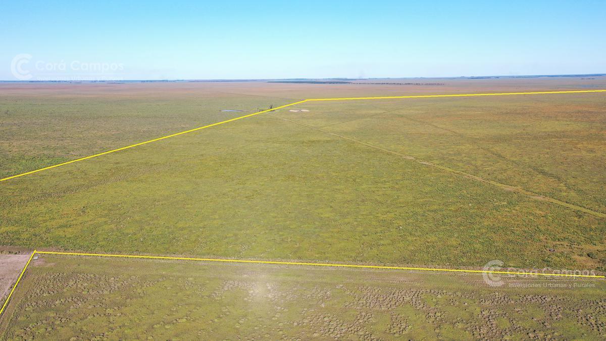 Se Vende Campo Foresto - Ganadero de 885 Ha en Paraje Galarza. Iberá. Corrientes 2