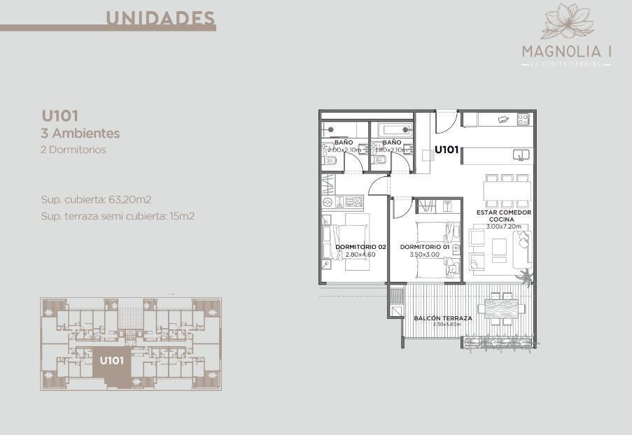 Plano 6
