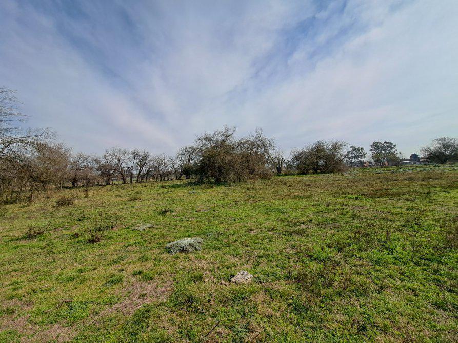 Foto de Lote en venta - Barrio Santa Cecilia - Monte Grande, imagen 5