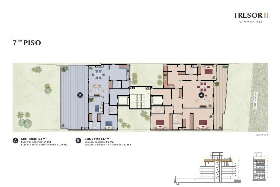Plano 8