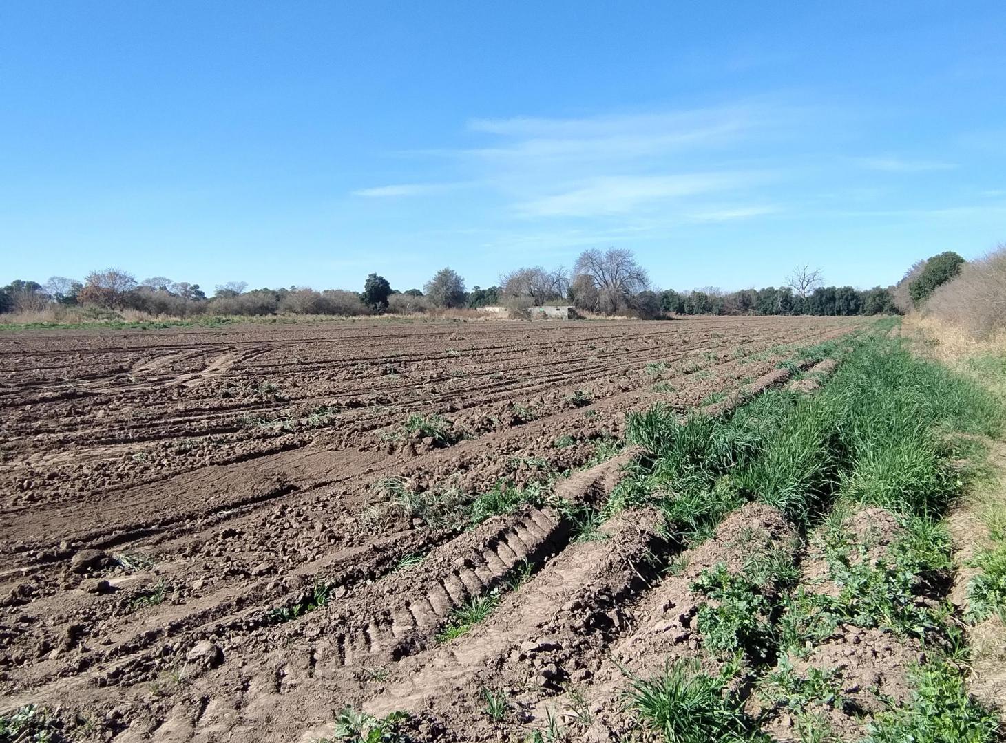 Foto de Campo en Venta 4has Cinturón Verde Córdoba, imagen 5