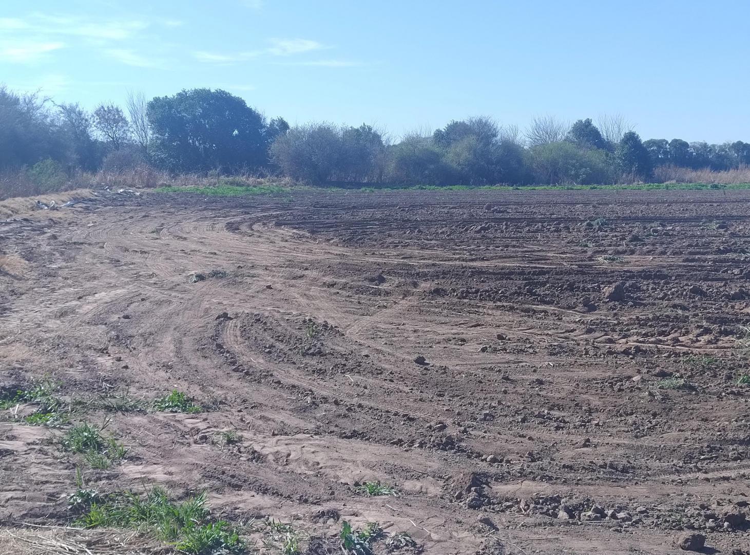 Foto de Campo en Venta 4has Cinturón Verde Córdoba, imagen 2