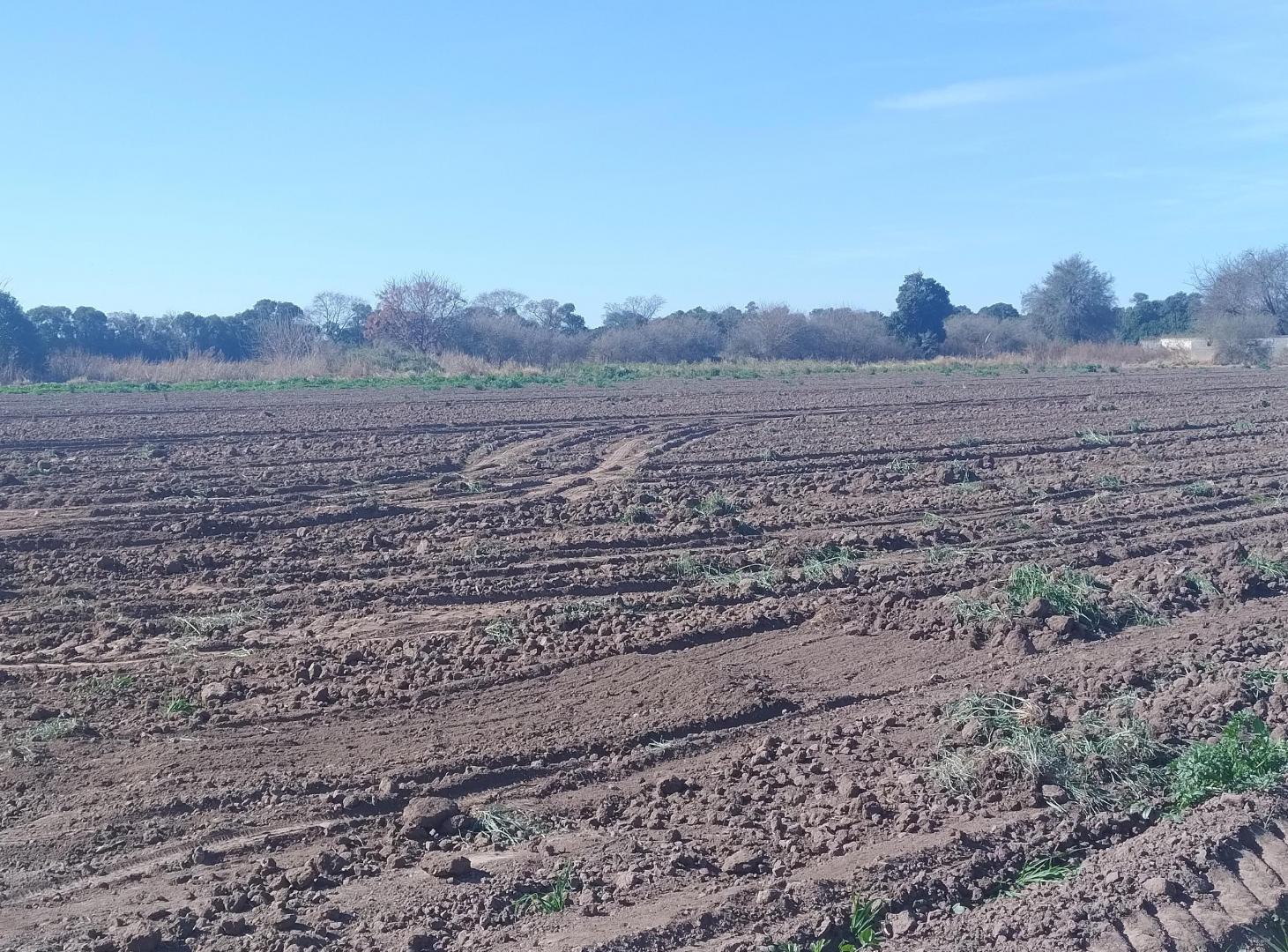 Foto de Campo en Venta 4has Cinturón Verde Córdoba, imagen 3
