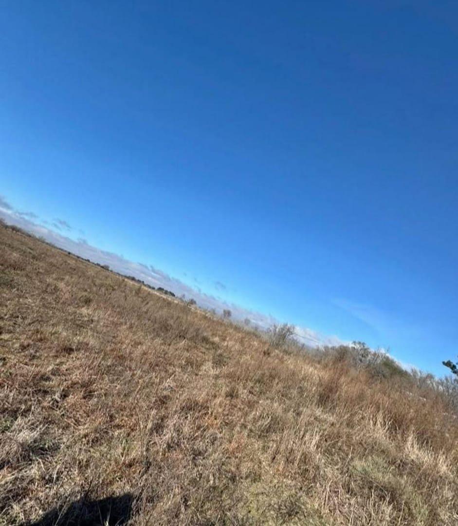 Foto de VENTA LOTE DE 8700 METROS, imagen 5