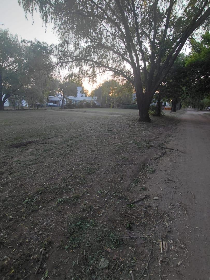 Foto de Venta Terreno en Country Valle del Golf, imagen 3