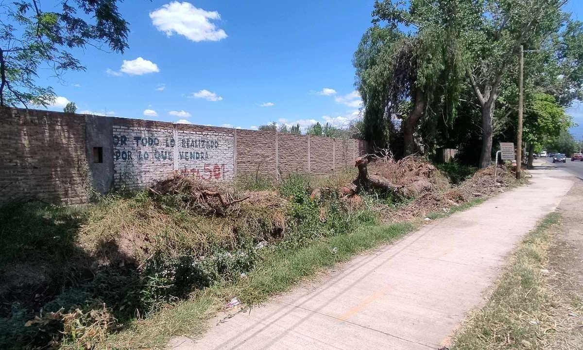 Realtyplus Vende Terrenos en Calle General Paz. Las Heras 4