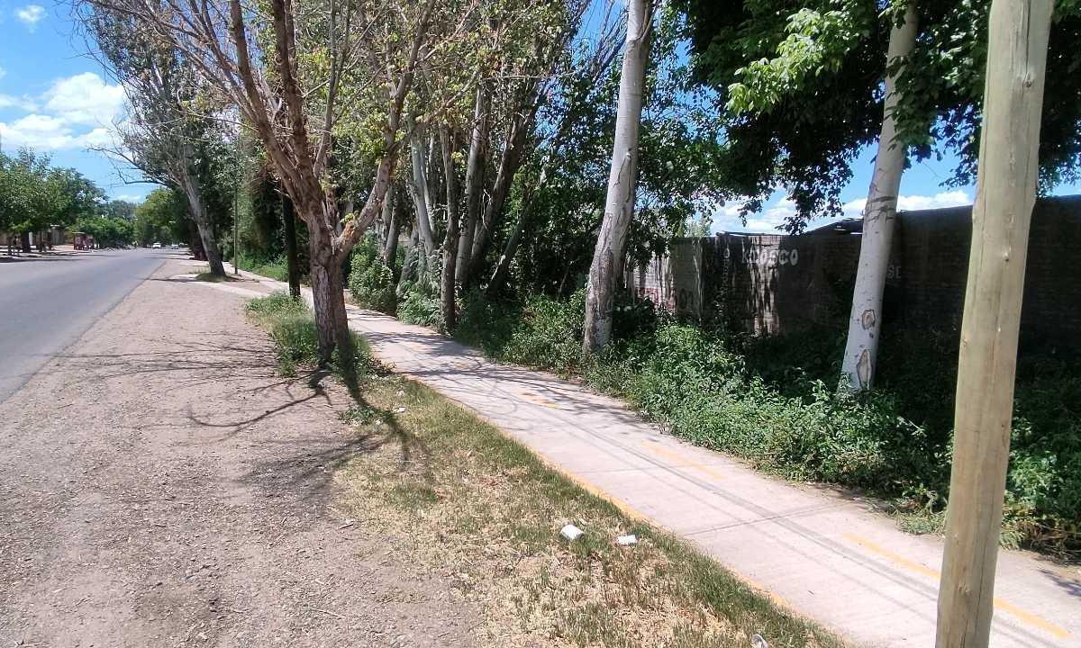 Realtyplus Vende Terrenos en Calle General Paz. Las Heras 3