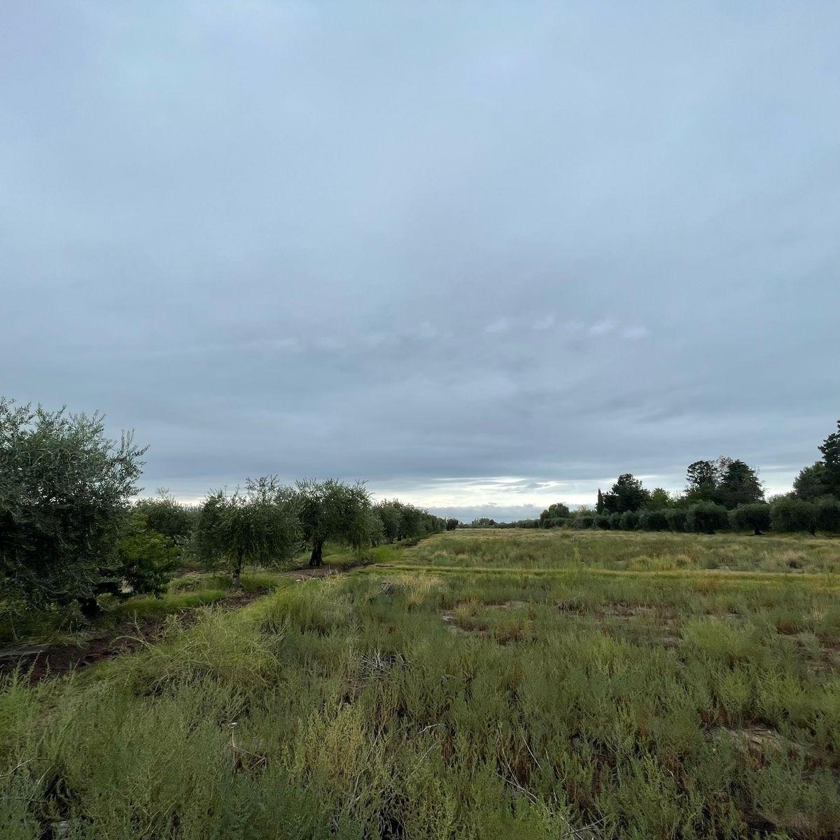 Realtyplus Vende Finca - Maza y Cruz Videla 1