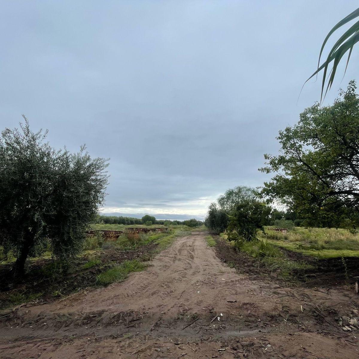 Realtyplus Vende Finca - Maza y Cruz Videla 2