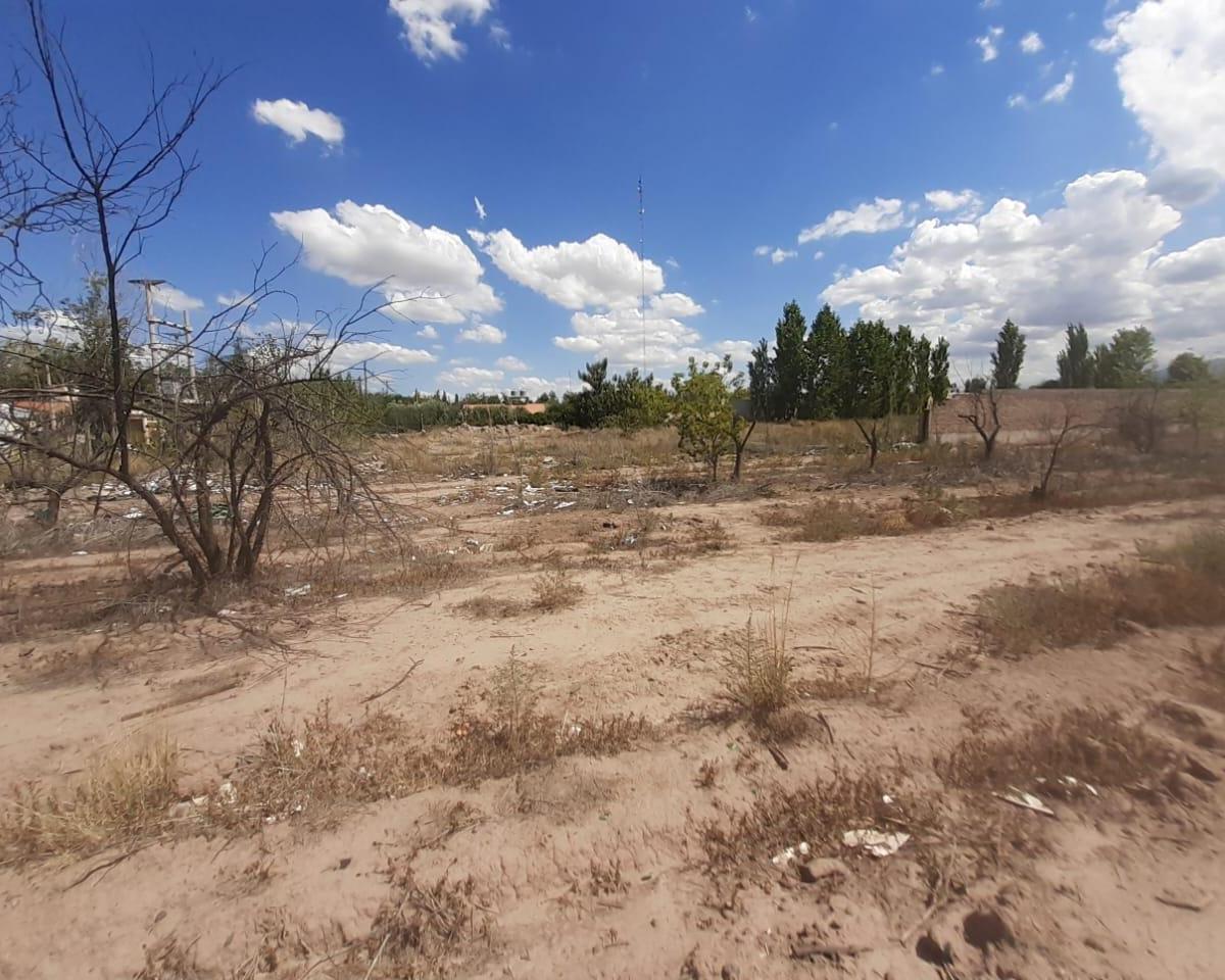 Terreno en venta 1 Hectárea sobre Azcuénaga, Guaymallén.