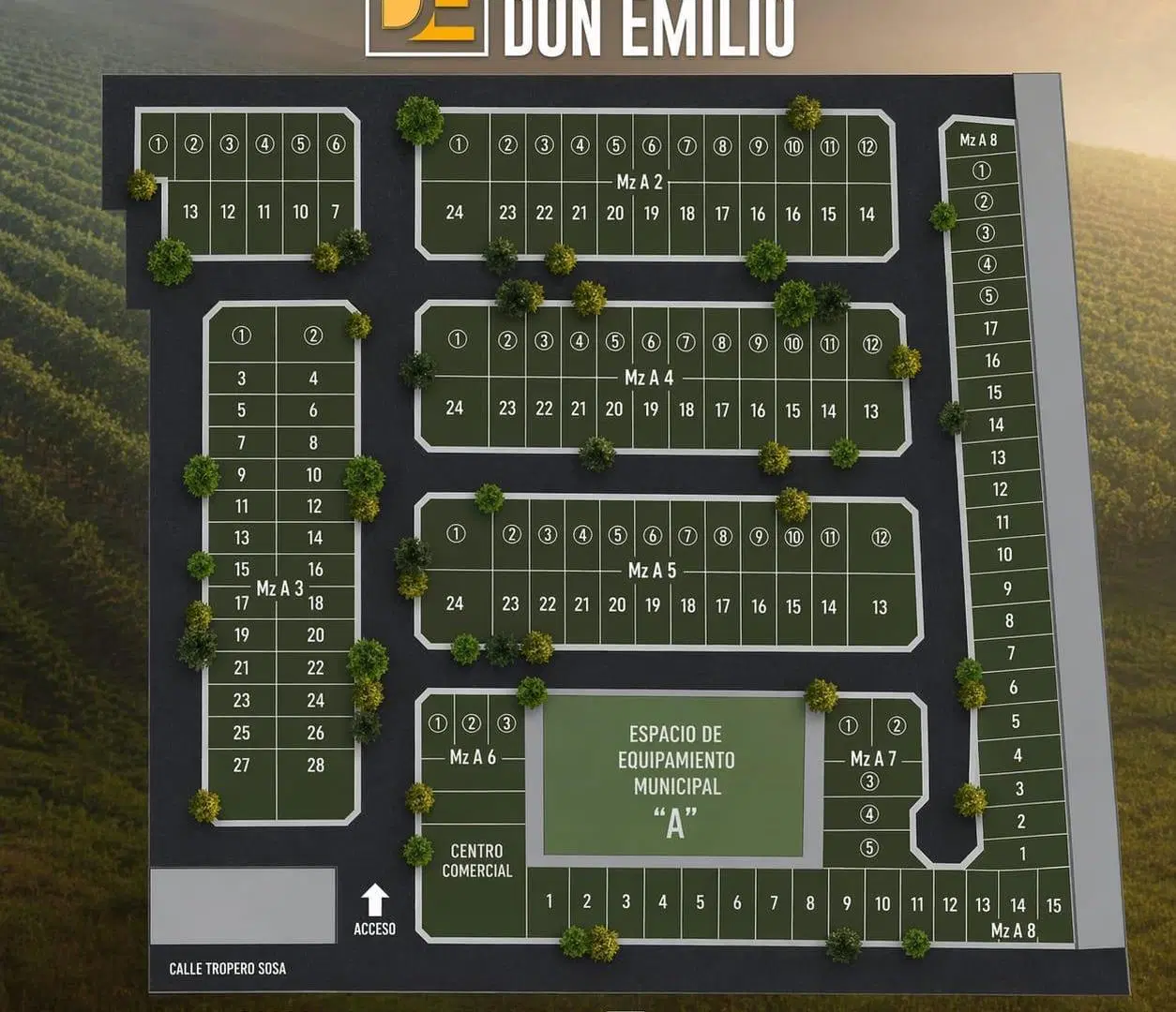Plano 1